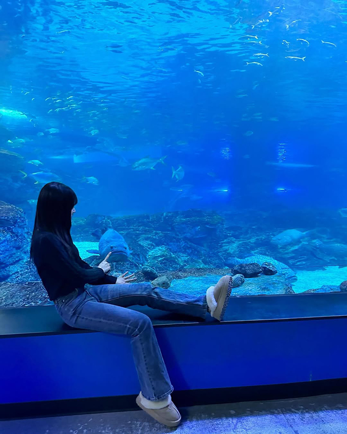 Chiêm ngưỡng thế giới đại dương thu nhỏ tại thủy cung sealife busan hàn quốc