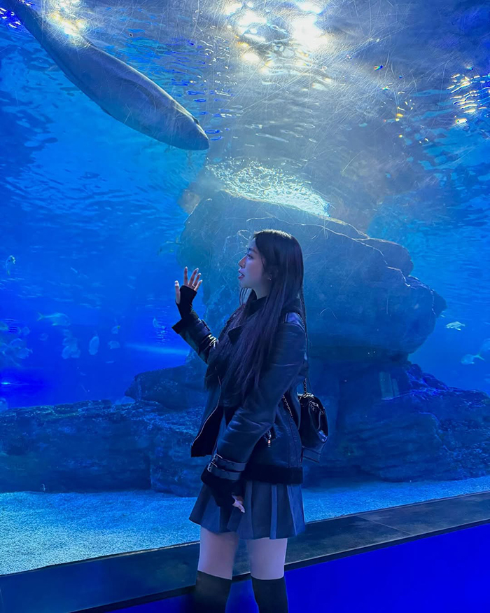  Khu rừng nhiệt đới dưới nước tại thủy cung sealife busan hàn quốc