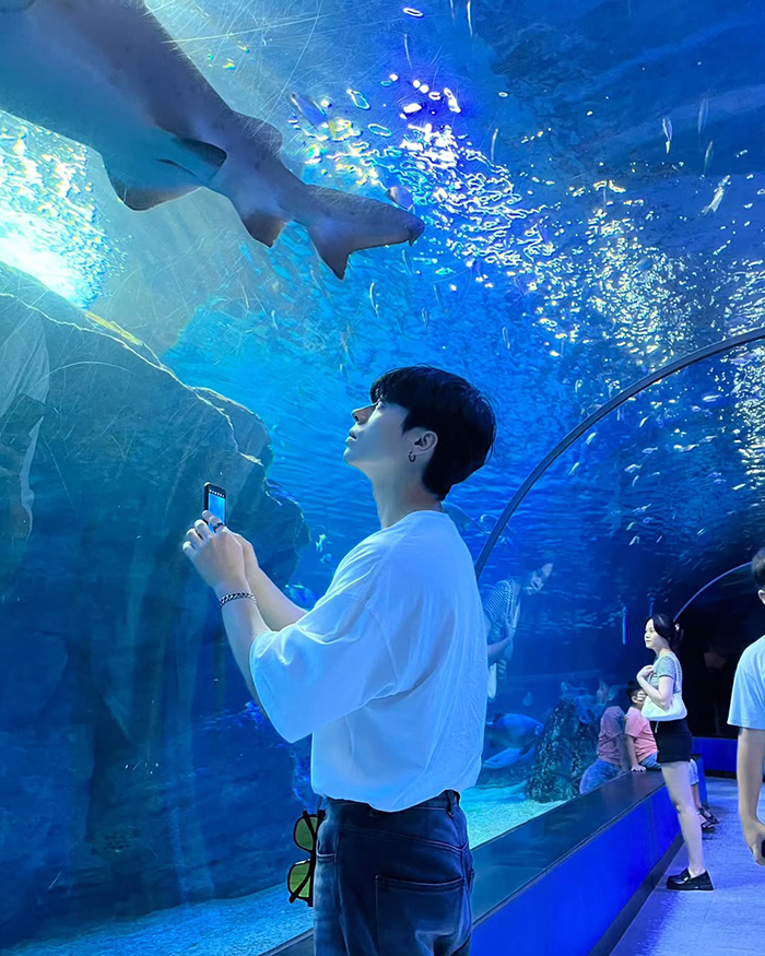 Khu vực sinh vật biển sâu tại thủy cung sealife busan hàn quốc