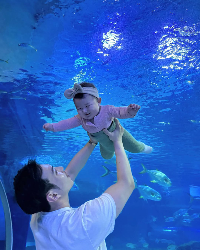 Giáo dục và bảo tồn sinh vật biển tại thùy cung sealife busan hàn quốc