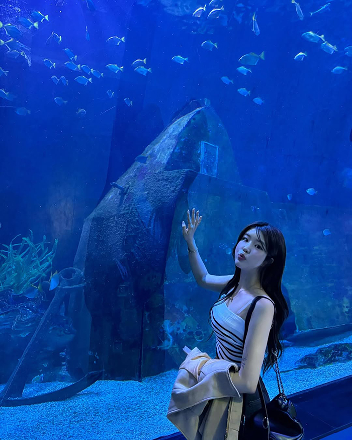 Ghé thăm thủy cung sealife busan hàn quốc vào mua xuân và mùa thu