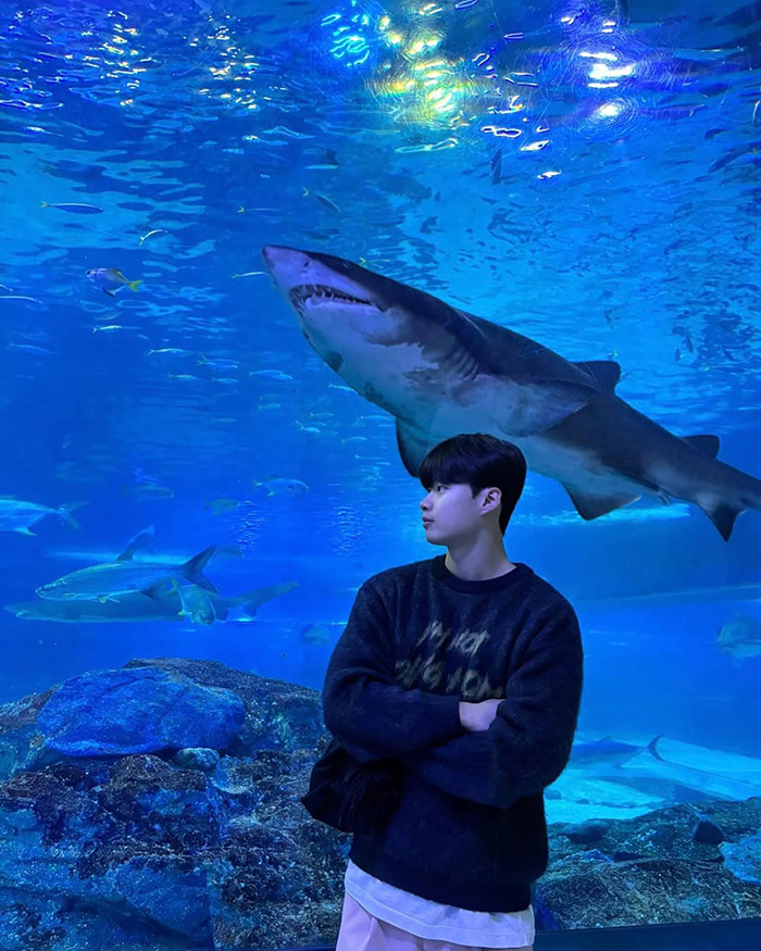 Cách di chuyển tới thủy cung Sealife Busan Hàn Quốc