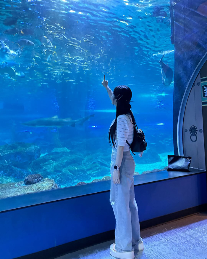 Di chuyển bằng tàu điện ngầm (Subway) tới thủy cung sealife busan hàn quốc