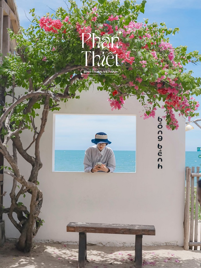 Kinh nghiệm du lịch Mũi Né từ Hà Nội quán cà phê với view đẹp cho ảnh nhức nách