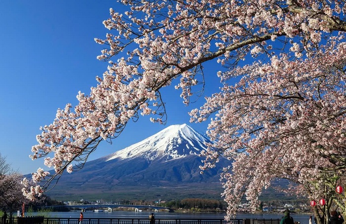 Núi Phú Sĩ tuyệt đẹp trong Tour du lịch Nhật Bản từ Hà Nội
