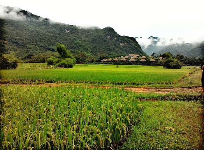 Lưu ý khi đến bản Poom Cọong Mai Châu