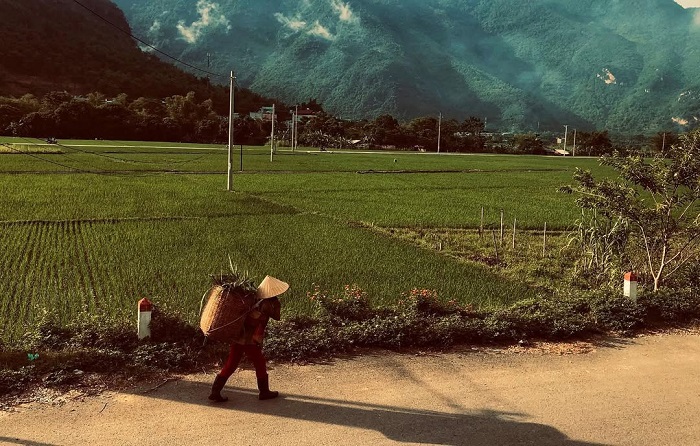 Bản Poom Cọong Mai Châu êm đềm như tranh