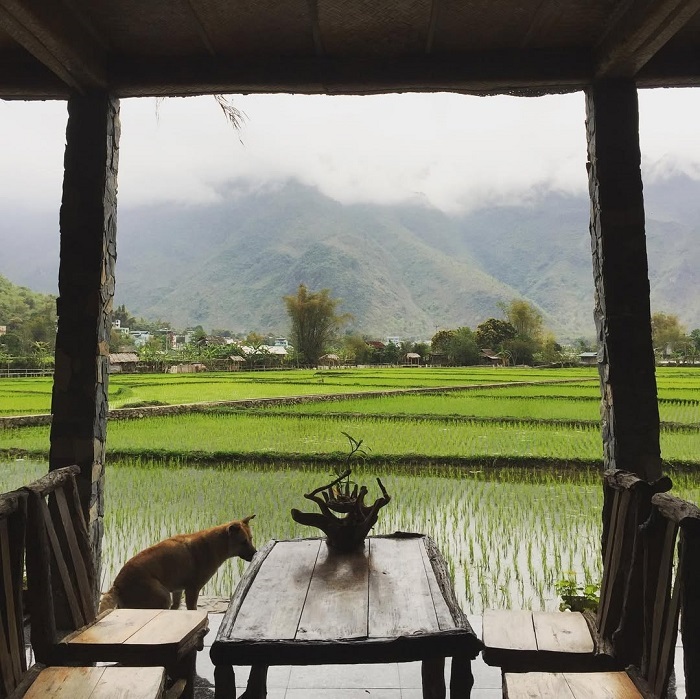 Bản Poom Cọong Mai Châu lý tưởng cho những chuyến đi chữa lành