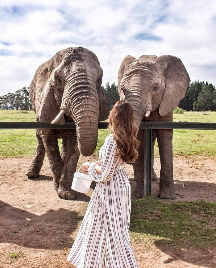 cung đường biển Garden Route Nam Phi có nhiều điểm dừng nổi tiếng