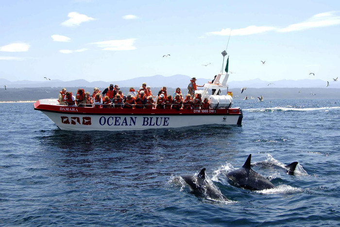 Các điểm dừng thú vị trên cung đường biển Garden Route Nam Phi