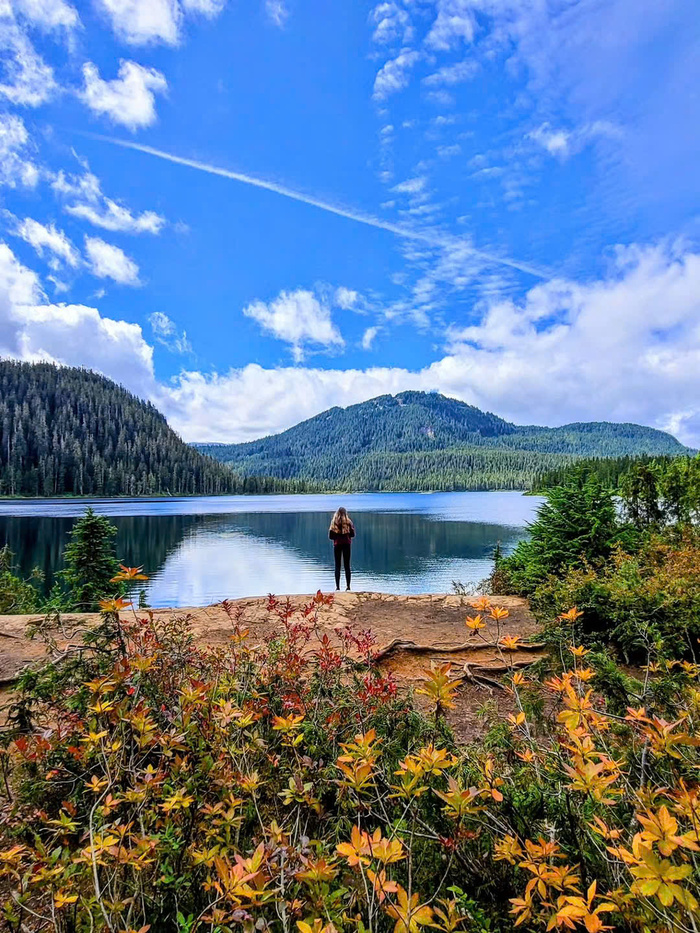 Các địa điểm trekking nổi tiếng ở Canada - Đảo Vancouver