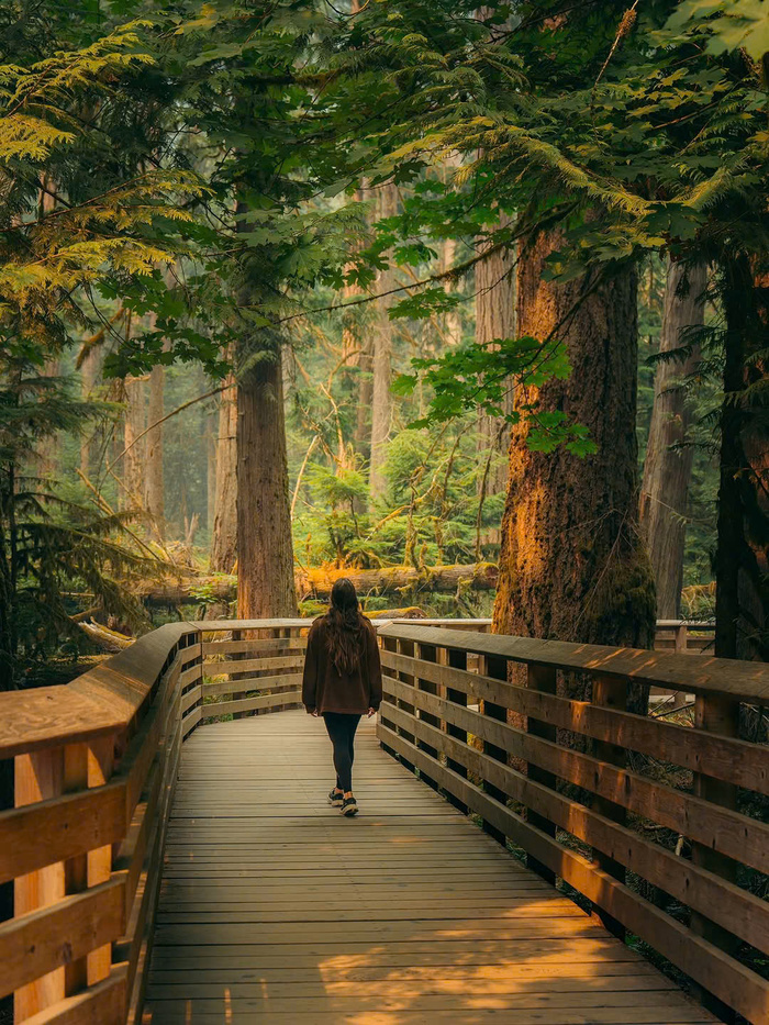 Các địa điểm trekking nổi tiếng ở Canada - Đảo Vancouver