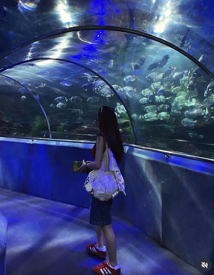 Thủy cung đẹp mê ly tại VinWonders Nha Trang Điểm du xuân ở Nha Trang 