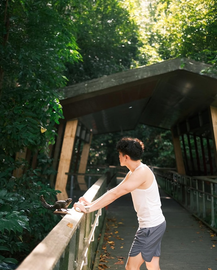 Lưu ý khi khám phá Khu bảo tồn thiên nhiên Bukit Timah