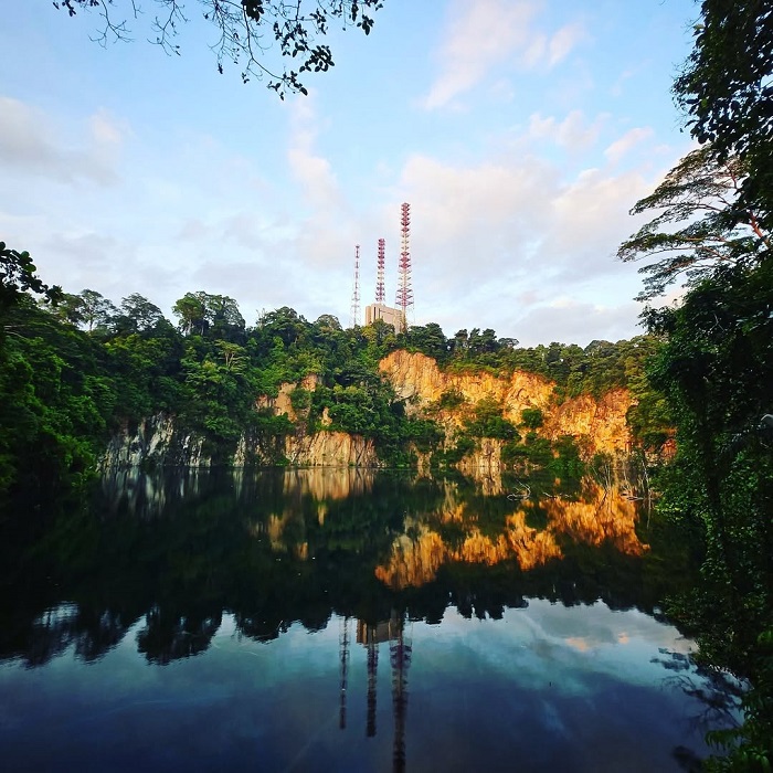 Khu bảo tồn thiên nhiên Bukit Timah với không gian trong lành