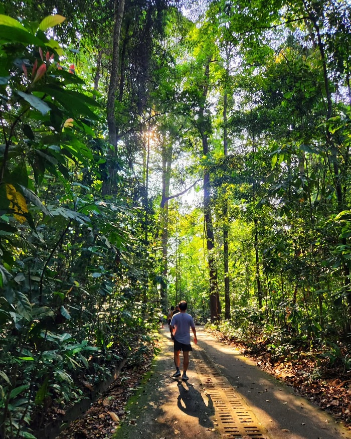 Khu bảo tồn thiên nhiên Bukit Timah thích hợp đi bộ đường dài