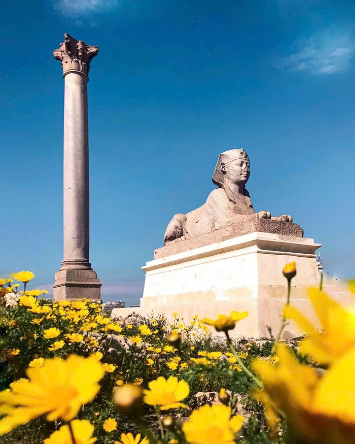 Kinh nghiệm du lịch Alexandria Ai Cập - Ghé thăm các điểm tham quan nổi tiếng