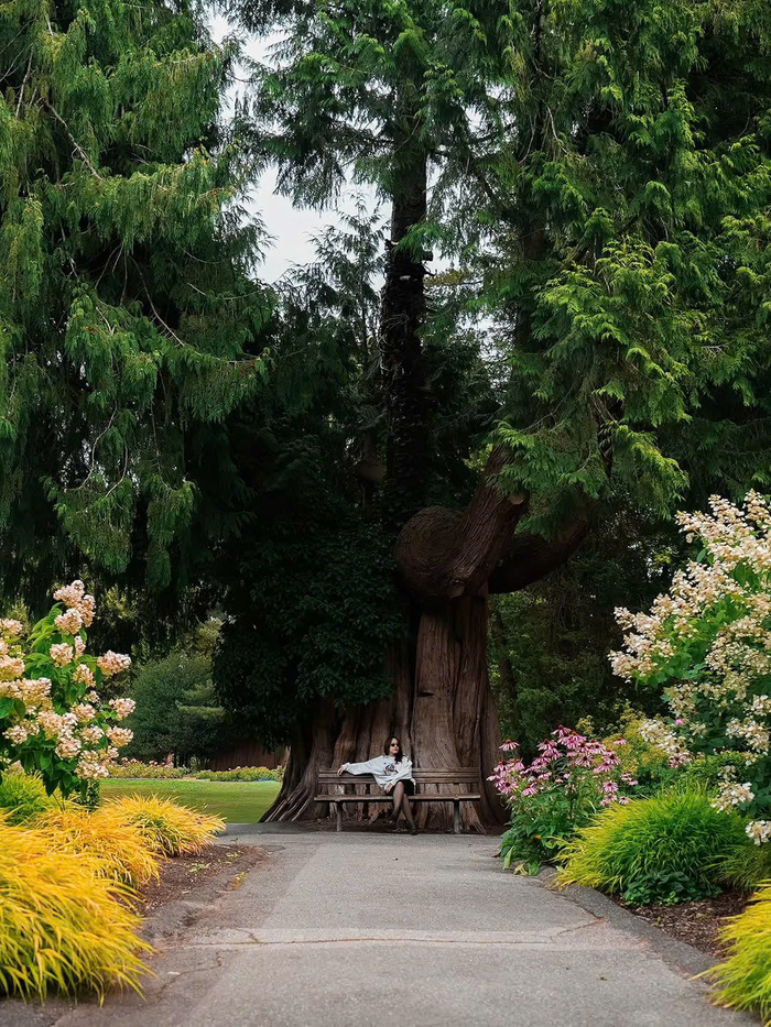 Kinh nghiệm du lịch Vancouver Canada - Khám phá các địa điểm du lịch Vancouver nổi tiếng