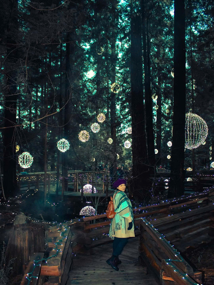 Kinh nghiệm du lịch Vancouver Canada - Khám phá các địa điểm du lịch Vancouver nổi tiếng