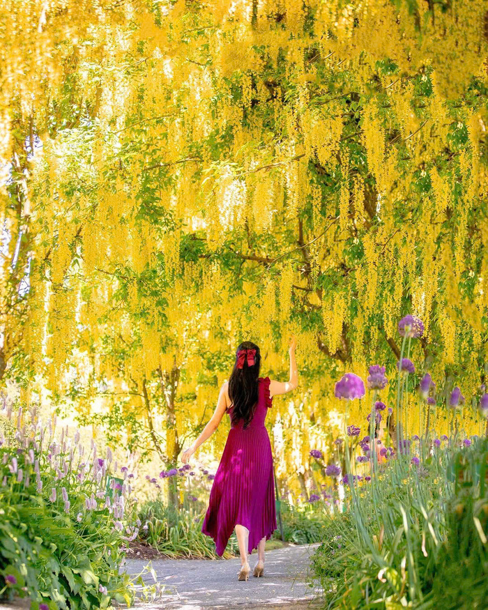 Kinh nghiệm du lịch Vancouver Canada - Khám phá các địa điểm du lịch Vancouver nổi tiếng