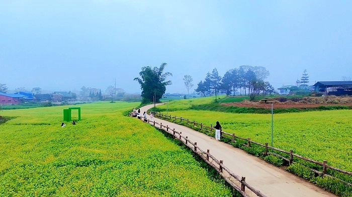 Lỏi Tươi Farm Mộc Châu - một tọa độ đáng để dừng chân 
