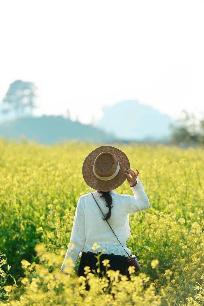 Lỏi Tươi Farm Mộc Châu mang đến trải nghiệm tuyệt vời cho du khách