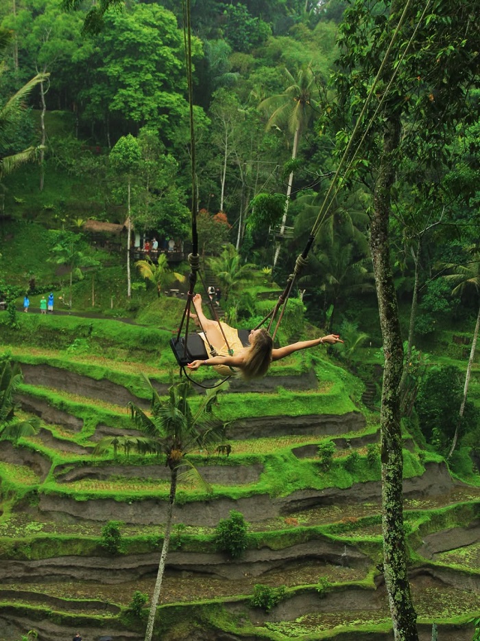 Ruộng bậc thang Tegalalang Indonesia là nơi lý tưởng để trải nghiệm xích đu