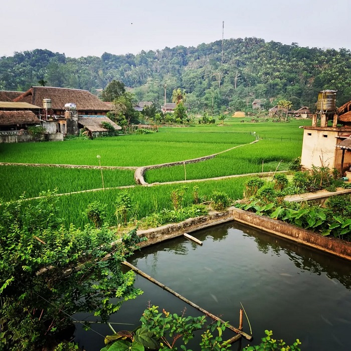 Thôn Tha Hà Giang góc nào cũng xinh