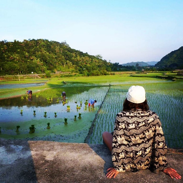 Thôn Tha Hà Giang có nhiều homestay lưu trú
