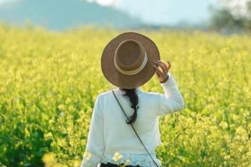 Lỏi Tươi Farm Mộc Châu – nông trại hoa cải vàng đẹp tựa cổ tích 