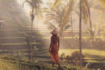 Phát sốt với vẻ đẹp của ruộng bậc thang Tegalalang Indonesia