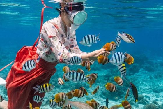 Đảo Sipadan Malaysia – Thiên đường lặn biển ‘đẹp điên’ của châu Á