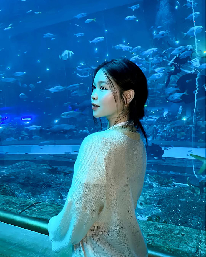 Những trải nghiệm nổi bật tại Thủy Cung Vinpearl Land Phú Quốc