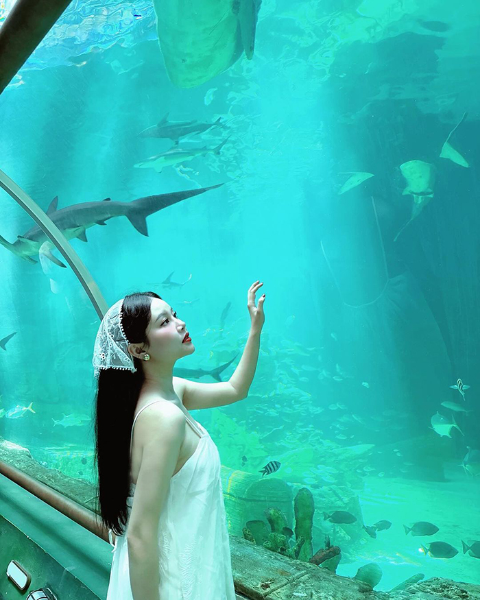 Biểu diễn cho cá mập ăn tại thủy cung vinpearl Land Phú Quốc