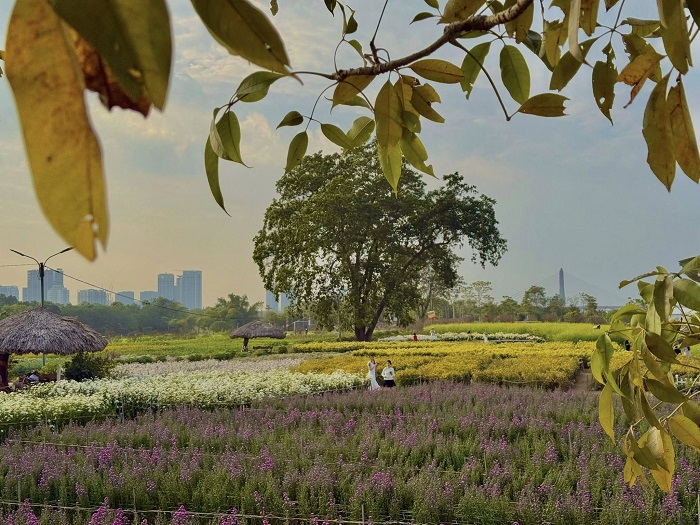 Vườn hoa Bãi Đá Sông Hồng ở đâu?