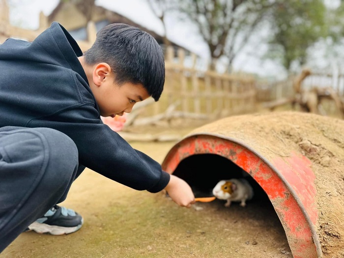 Vườn hoa Bãi Đá Sông Hồng còn có khu thú nuôi