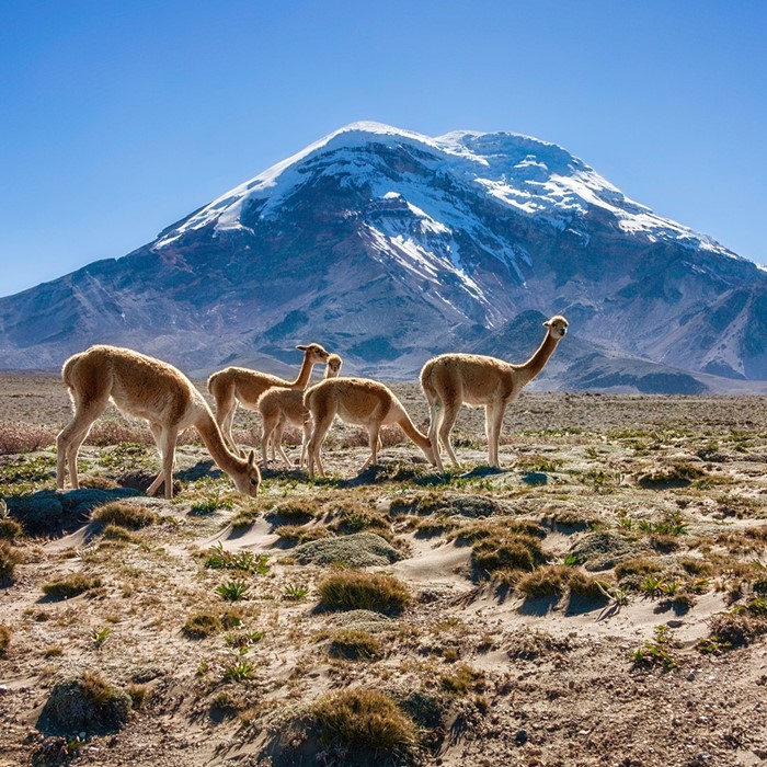 Du lich Quito Ecuador la mot nua den thien duong