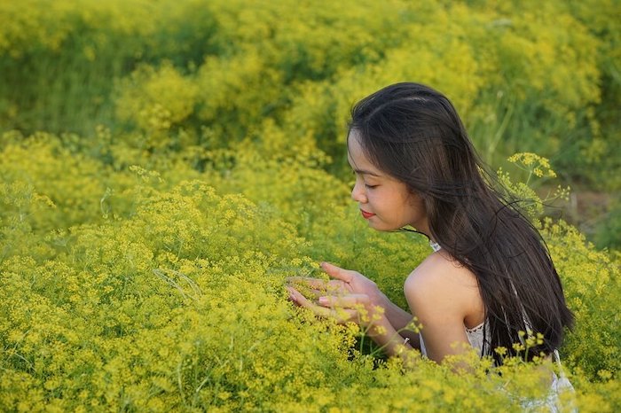 cánh đồng thì là bạc liêu