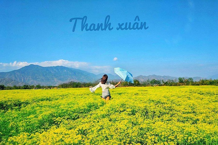 cánh đồng thì là bạc liêu