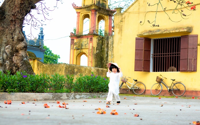 mùa hoa gạo Thái Bình