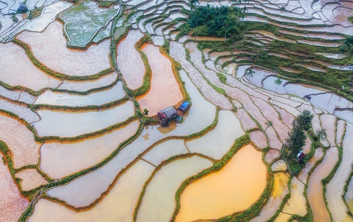 ruộng bậc thang Quảng Ngãi