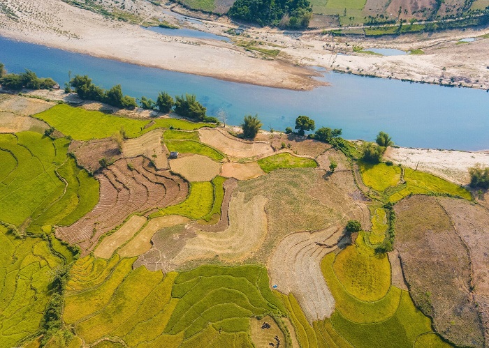 ruộng bậc thang Quảng Ngãi