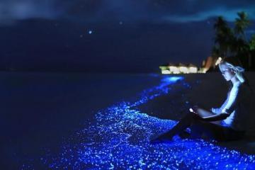 Ngỡ ngàng vẻ đẹp lấp lánh như dải ngân hà tại đảo Vaadhoo Maldives