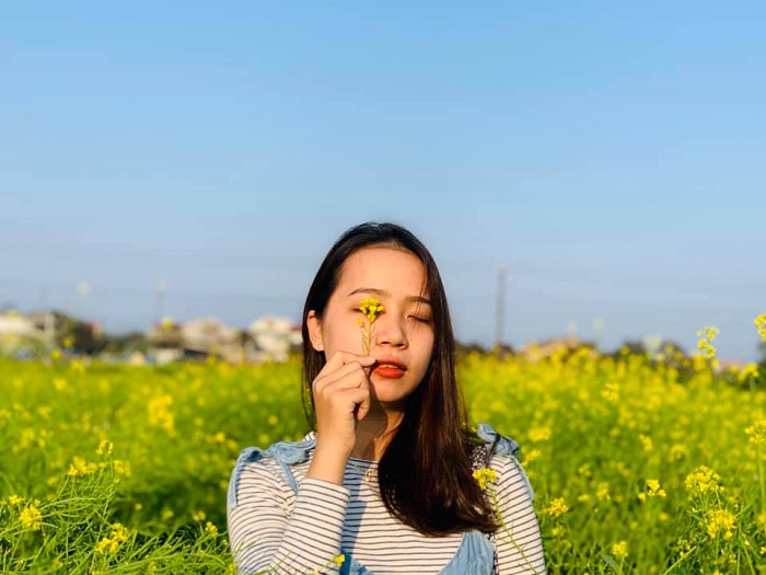 Vườn hoa cải Kim Long Huế