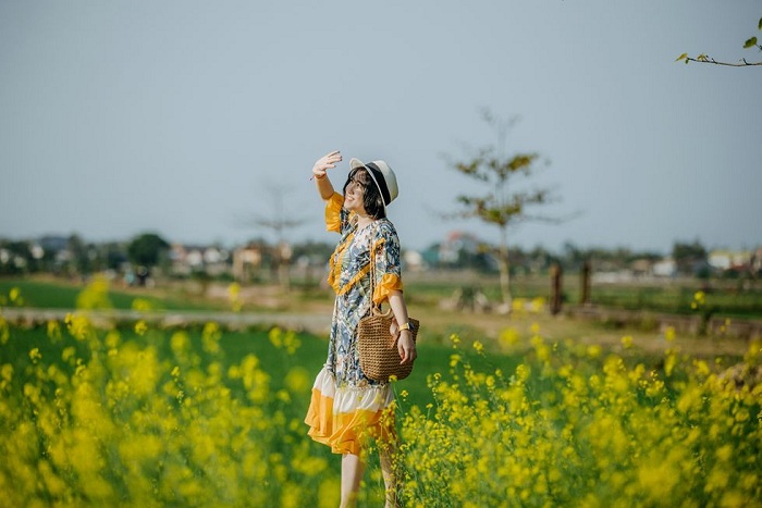 Vườn hoa cải Kim Long Huế