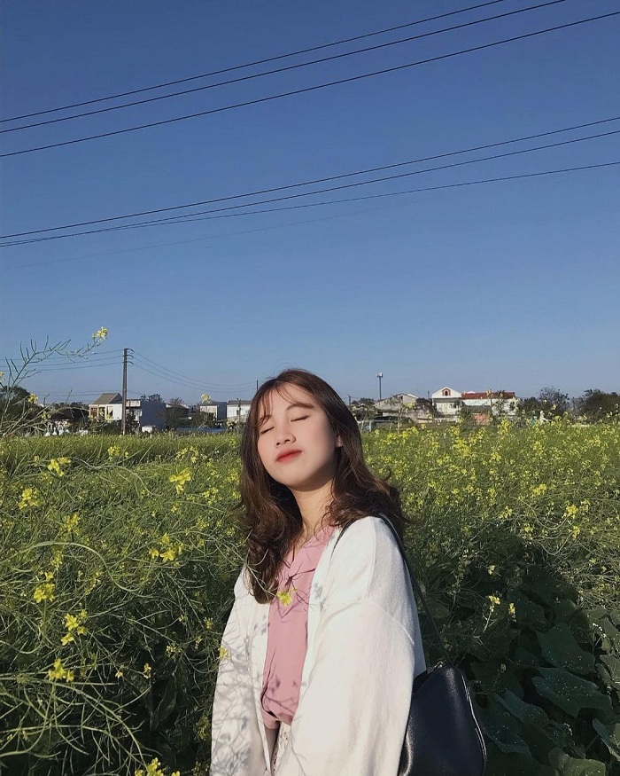 Vườn hoa cải Kim Long Huế