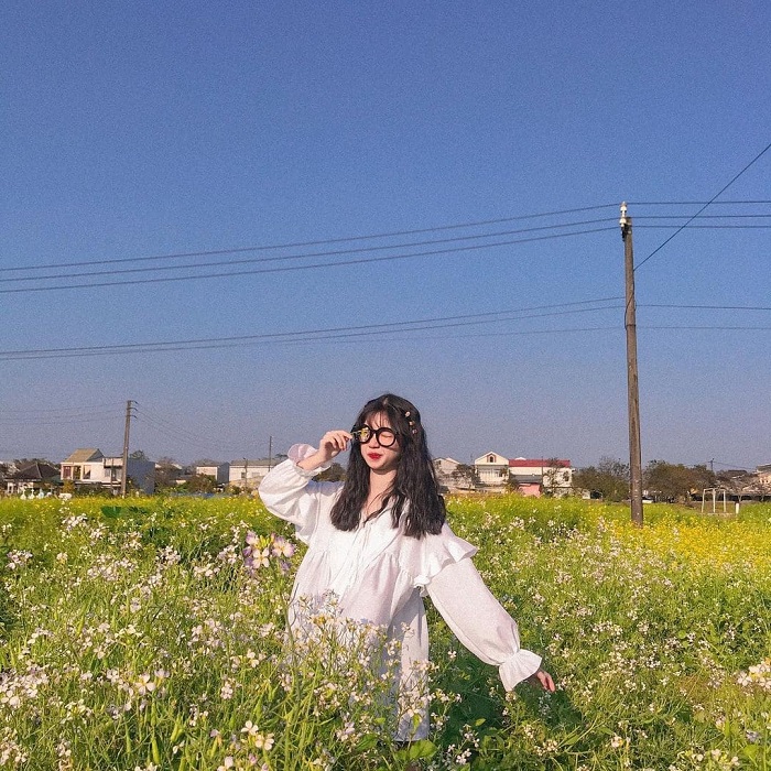 Vườn hoa cải Kim Long Huế