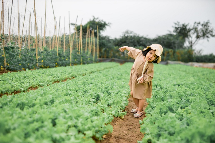 vườn hoa ở Thái Bình