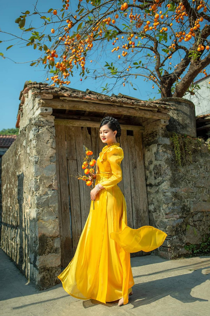 Cây hồng cổ Ninh Bình vô danh bỗng nhiên “vụt sáng” trên mạng xã hội nhờ những bức hình siêu đẹp