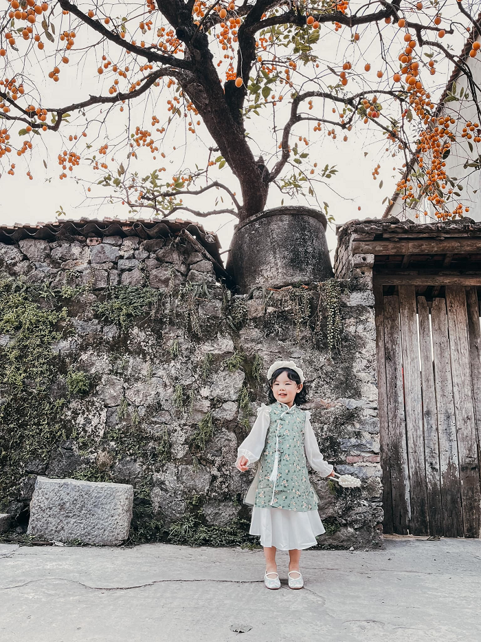 Cây hồng cổ Ninh Bình vô danh bỗng nhiên “vụt sáng” trên mạng xã hội nhờ những bức hình siêu đẹp